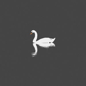 GayF以色列老头GayFuCk
